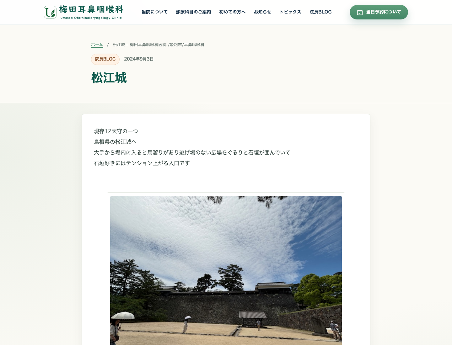 文章と写真が自動レイアウトされた院長ブログ記事